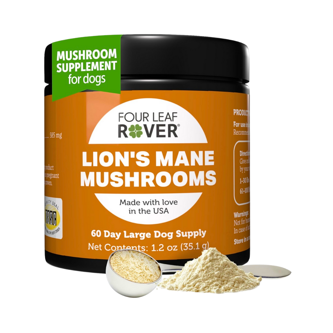 Four Leaf Rover Organic Lion’s Mane Mushrooms