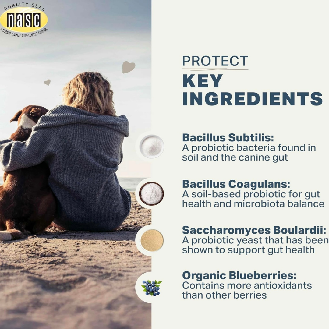 Four Leaf Rover Protect | Soil Based Probiotics + Detox Support