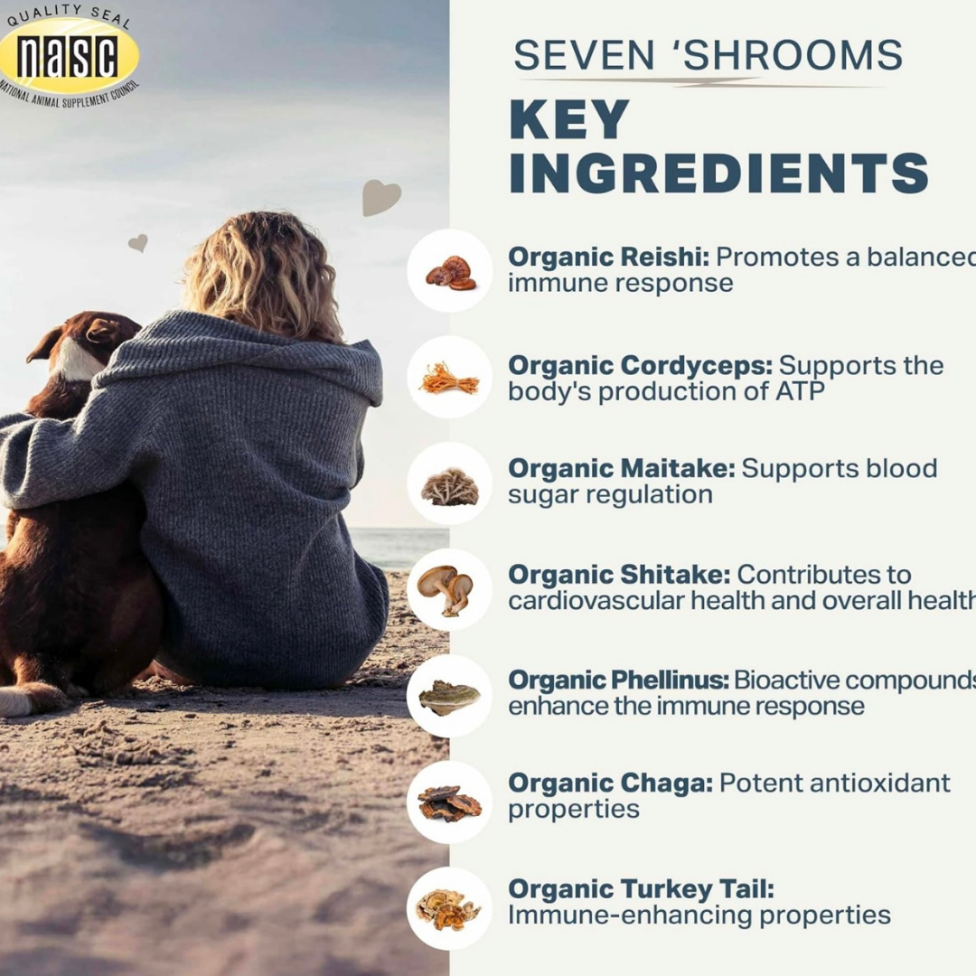 Four Leaf Rover Seven 'Shrooms | Organic Mushroom Blend for Immune Support