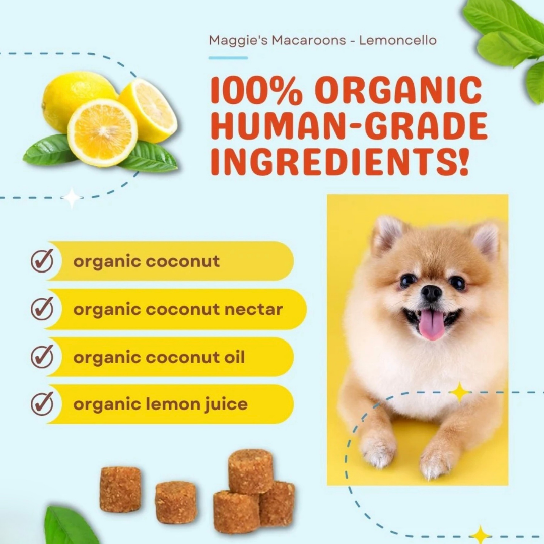 CocoTherapy Organic Maggie's Macaroons | Lemoncello