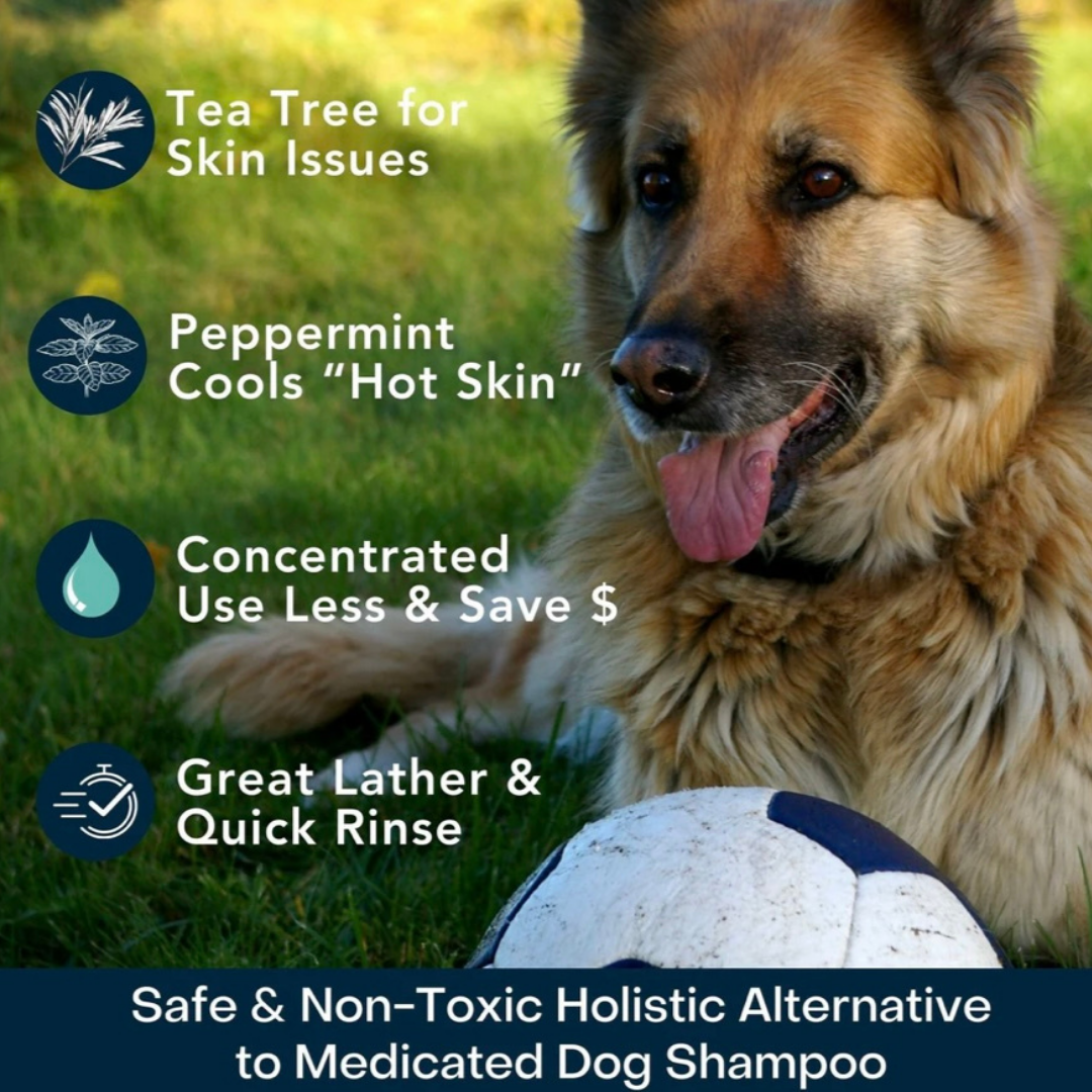 4-Legger Organic Cooling Shampoo | Peppermint + Tea Tree Oil