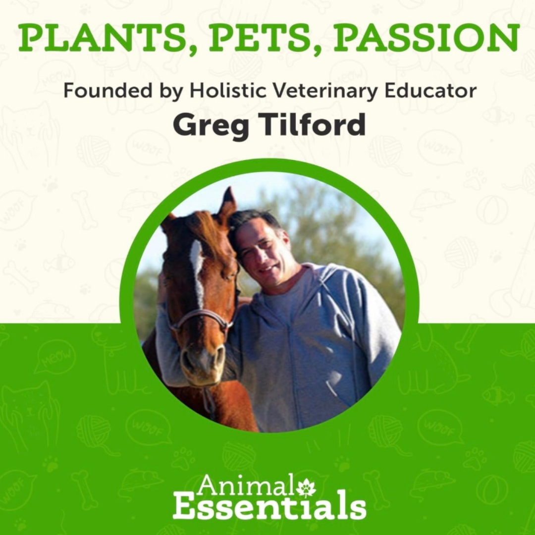 Animal Essentials Colon Rescue | Soothing Digestive Support