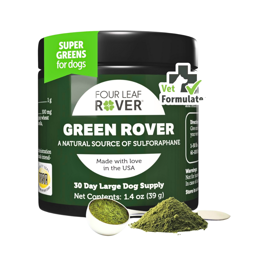 Four Leaf Rover Green Rover | Organic Greens for Detox + Immune Support