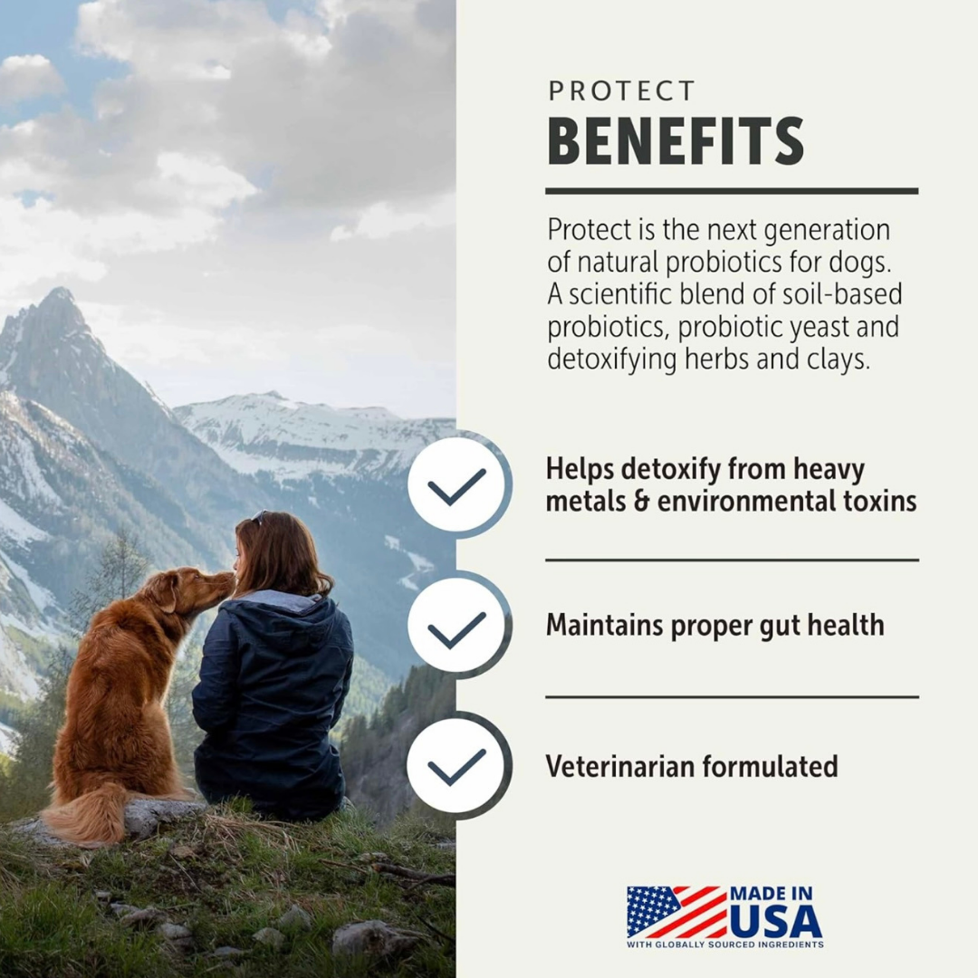 Four Leaf Rover Protect | Soil Based Probiotics + Detox Support