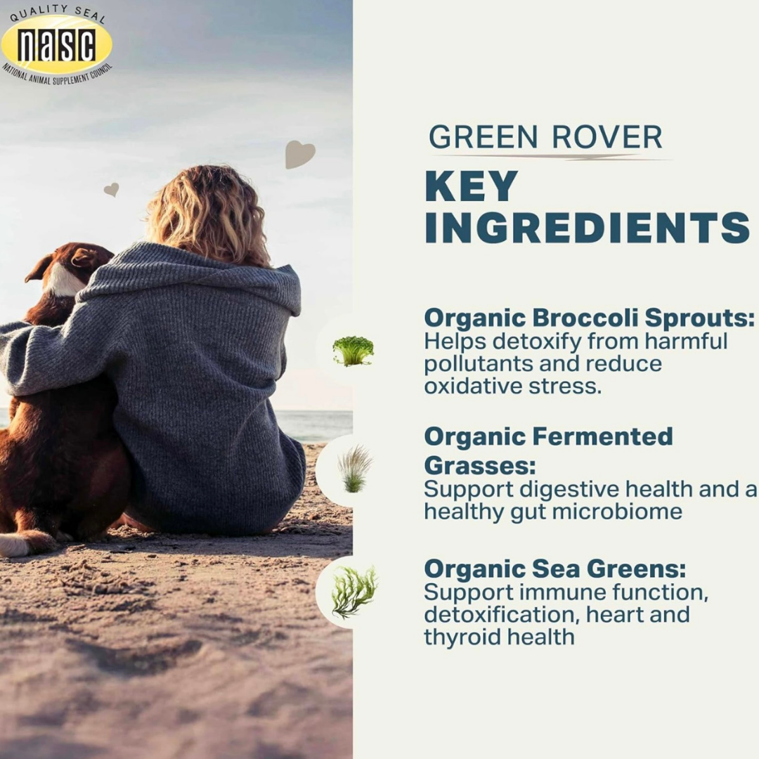 Four Leaf Rover Green Rover | Organic Greens for Detox + Immune Support