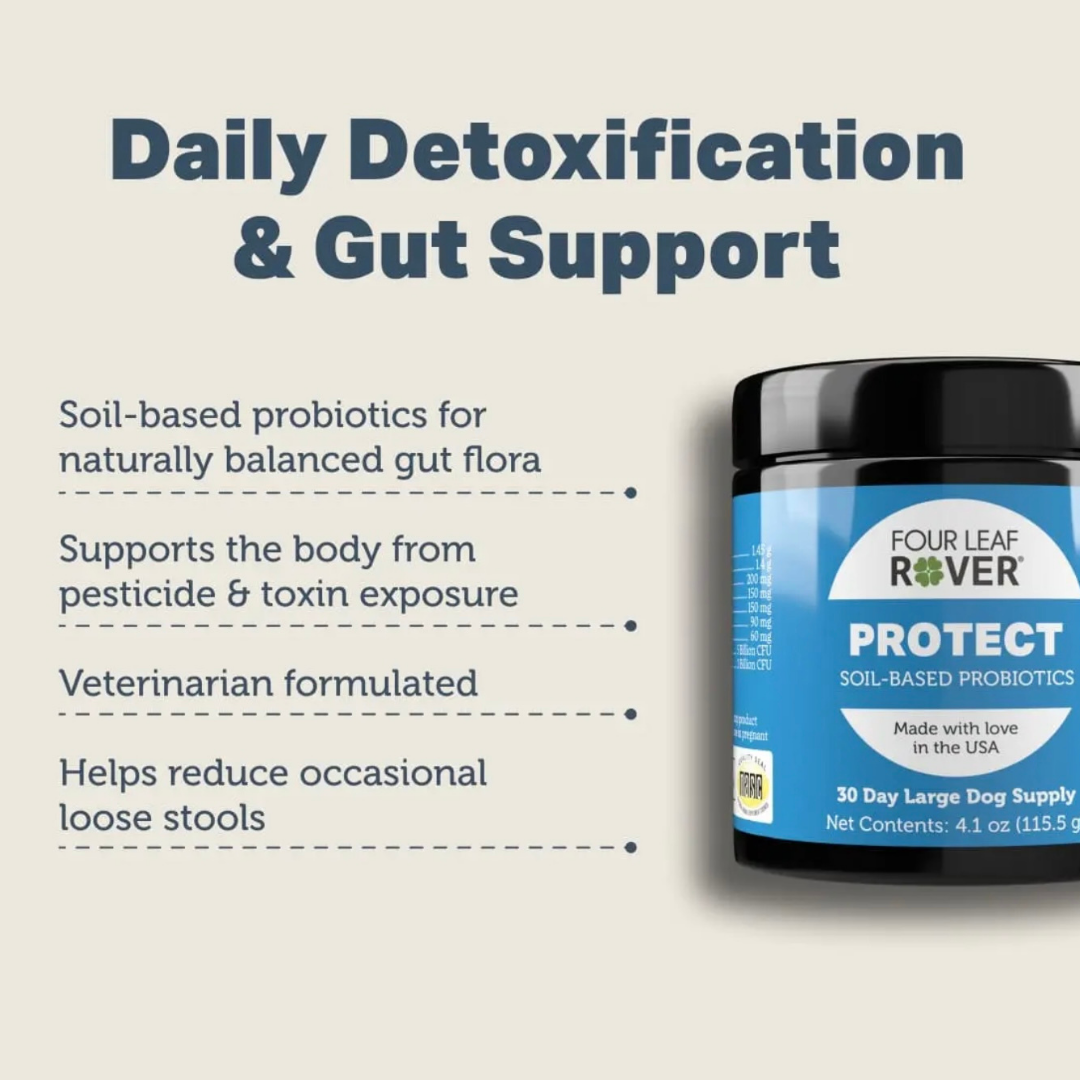 Four Leaf Rover Protect | Soil Based Probiotics + Detox Support