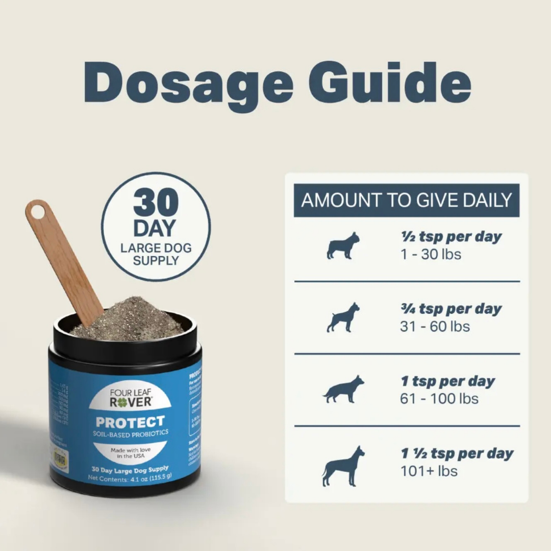 Four Leaf Rover Protect | Soil Based Probiotics + Detox Support