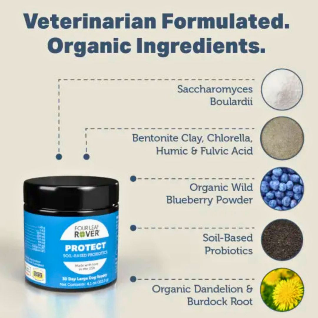 Four Leaf Rover Protect | Soil Based Probiotics + Detox Support