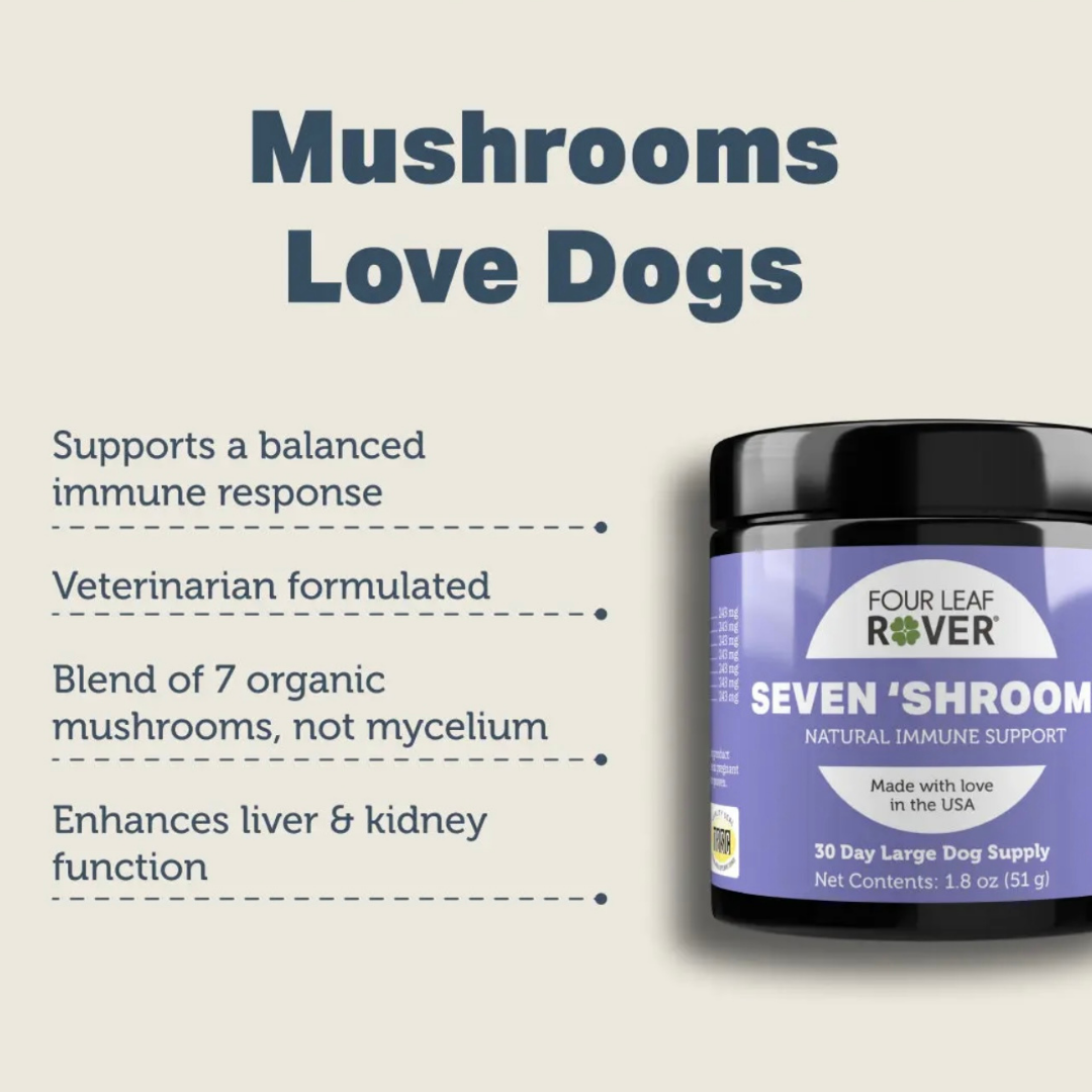 Four Leaf Rover Seven 'Shrooms | Organic Mushroom Blend for Immune Support