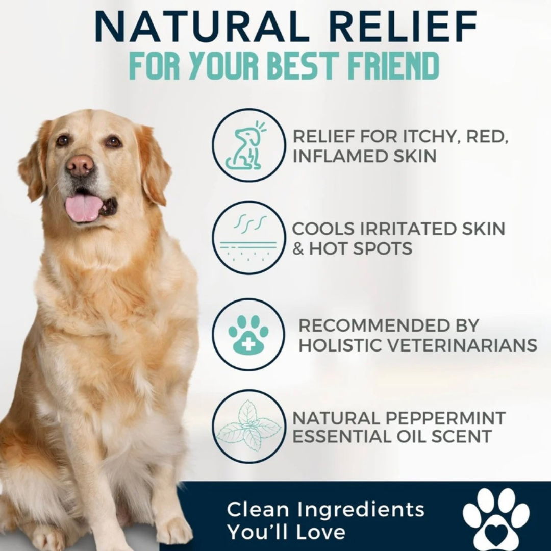 4-Legger Organic Cooling Shampoo | Peppermint + Tea Tree Oil