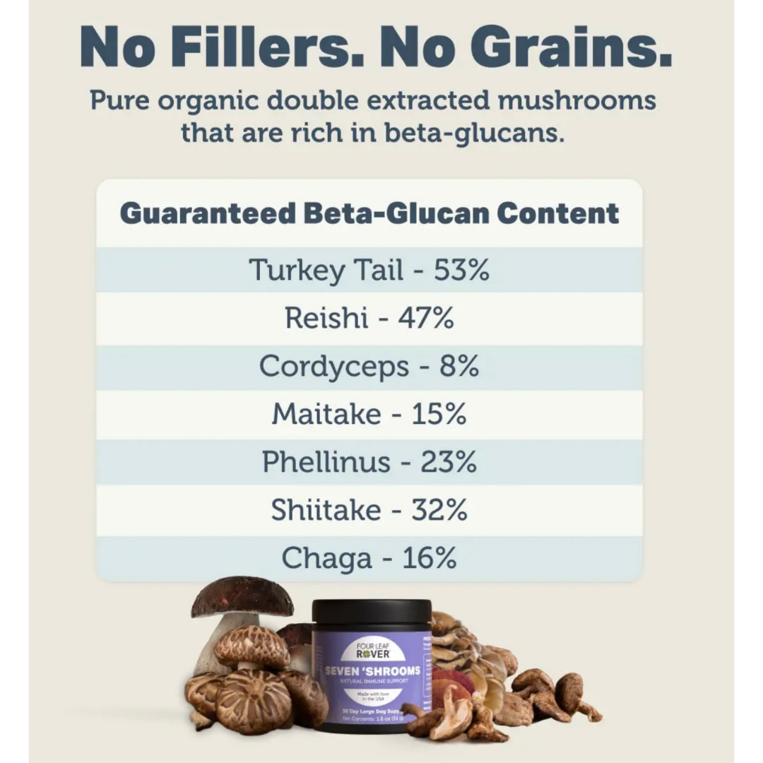 Four Leaf Rover Seven 'Shrooms | Organic Mushroom Blend for Immune Support