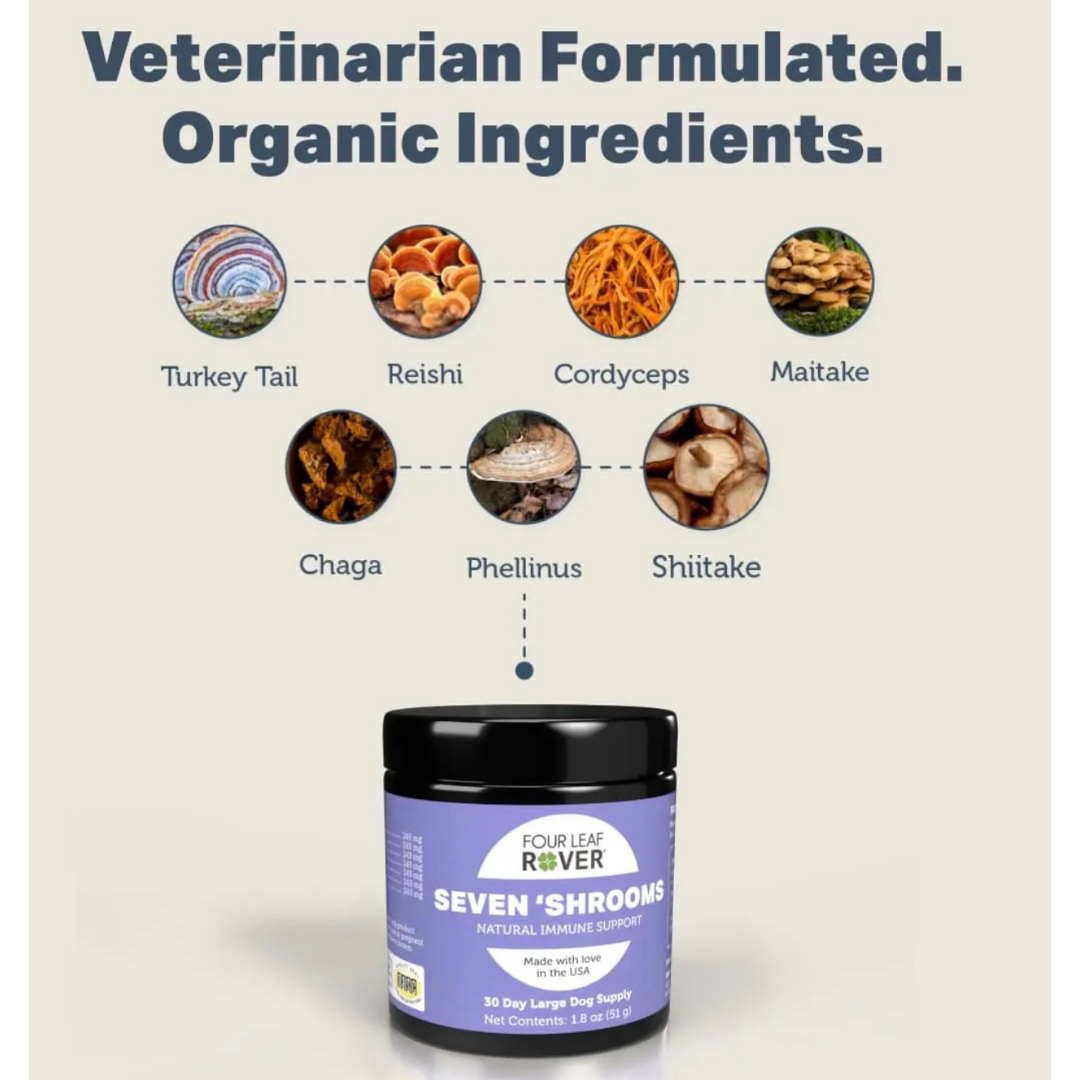 Four Leaf Rover Seven 'Shrooms | Organic Mushroom Blend for Immune Support