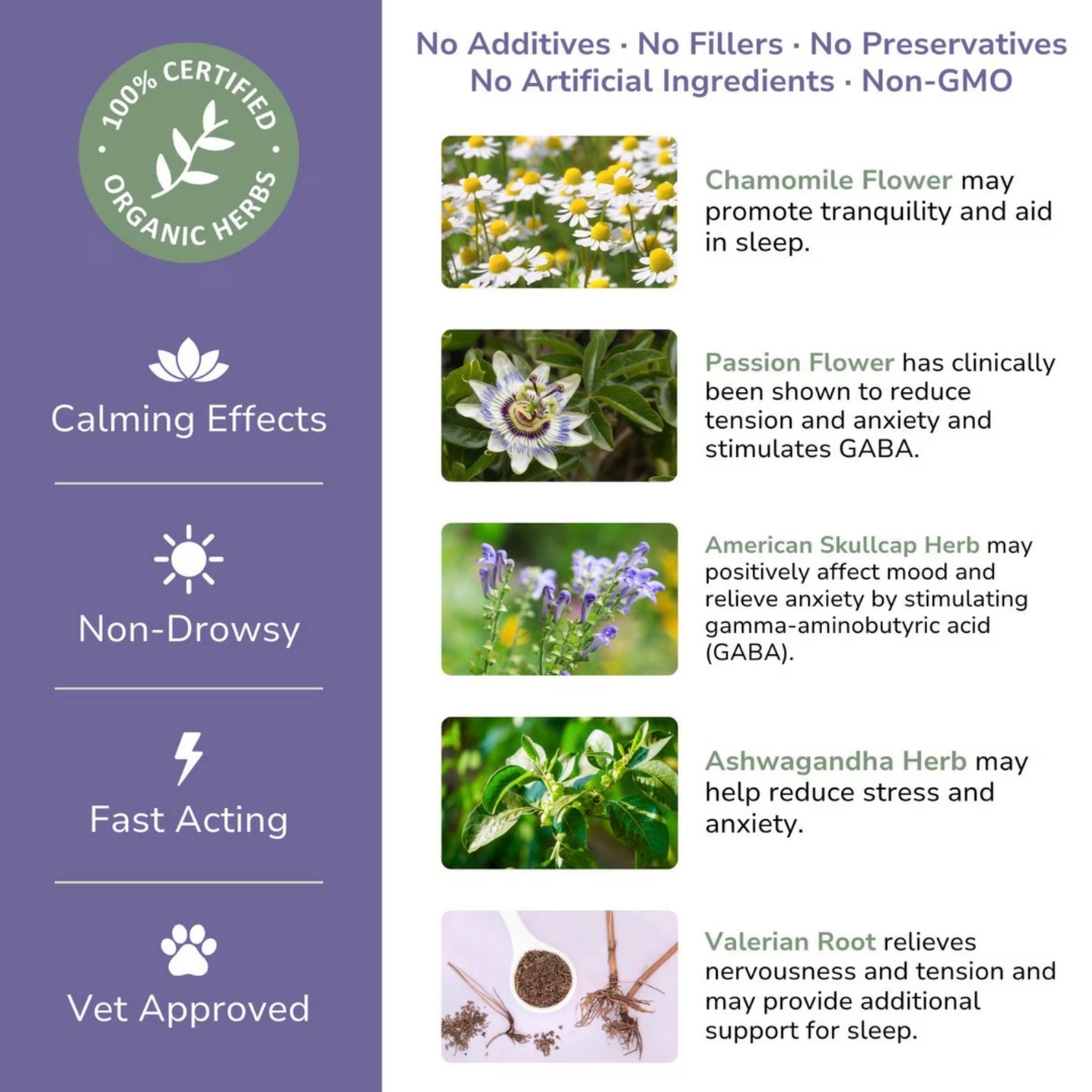 Glacier Peak Peace Tincture | Anxiety Relief