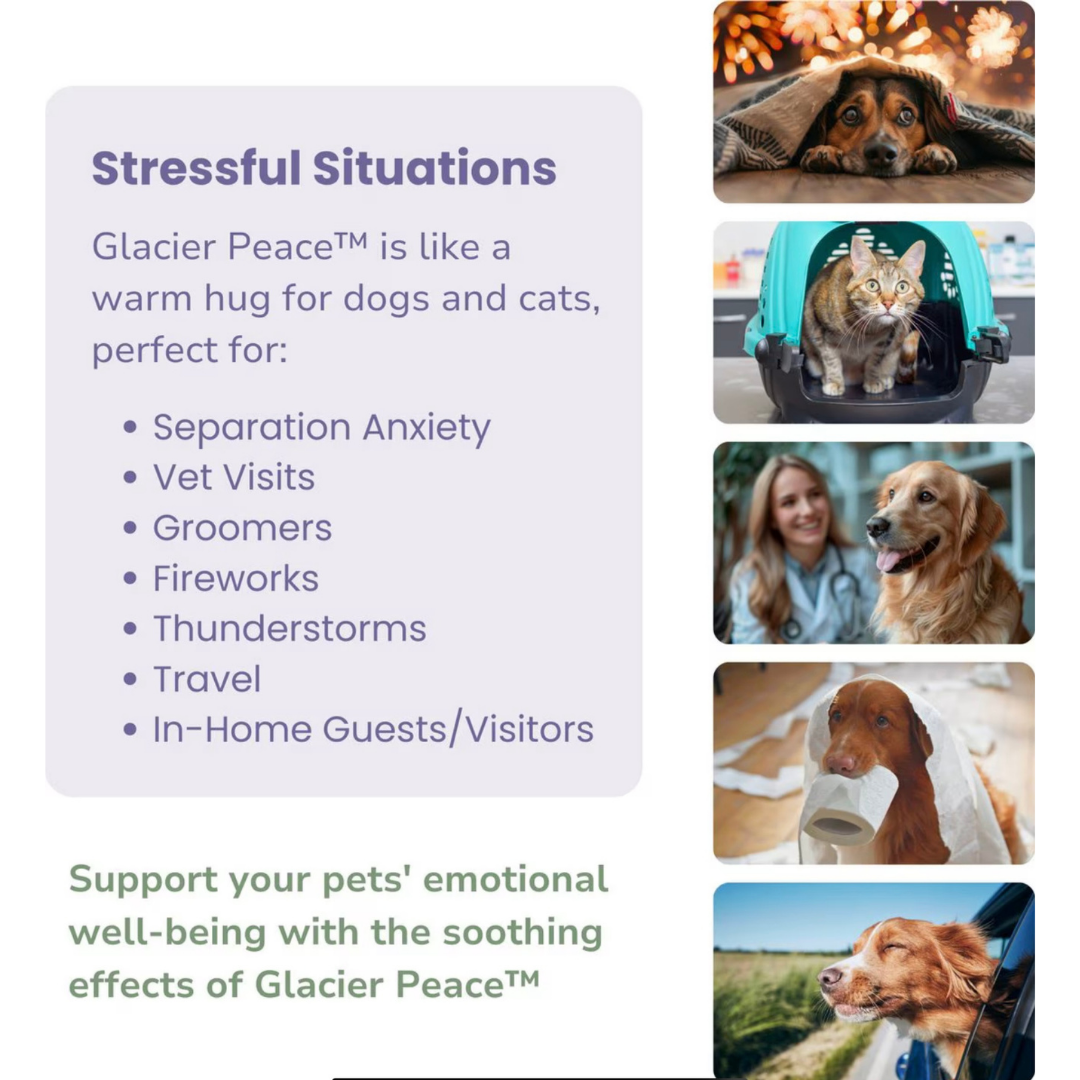 Glacier Peak Peace Tincture | Anxiety Relief