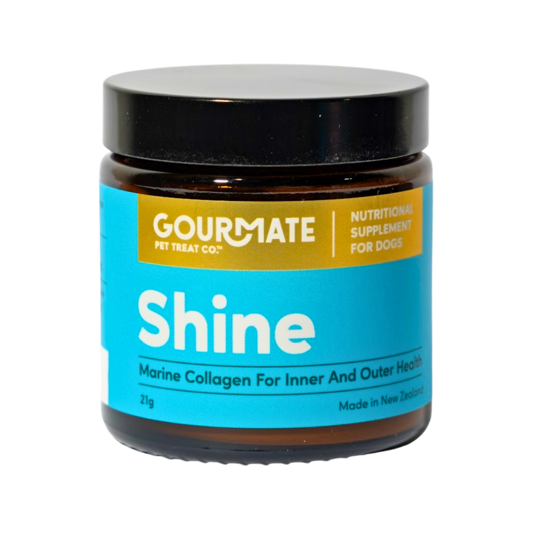 Gourmate Shine | Marine Collagen