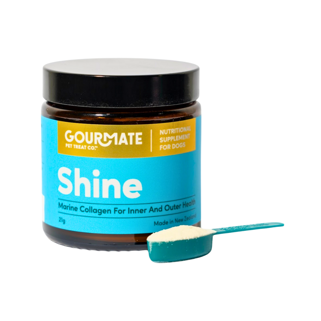 Gourmate Shine | Marine Collagen