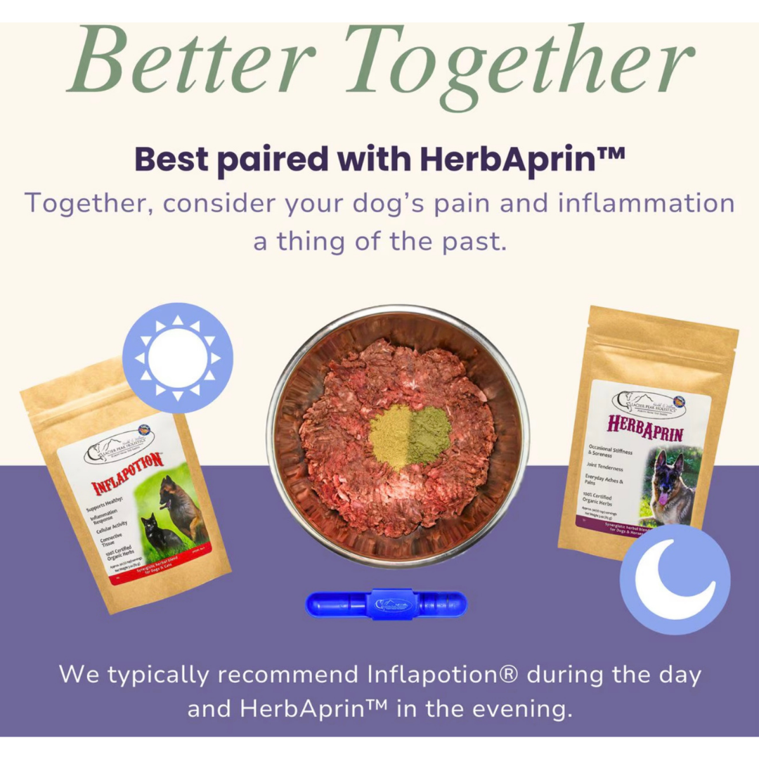 Glacier Peak Inflapotion Powder | Anti-Inflammatory