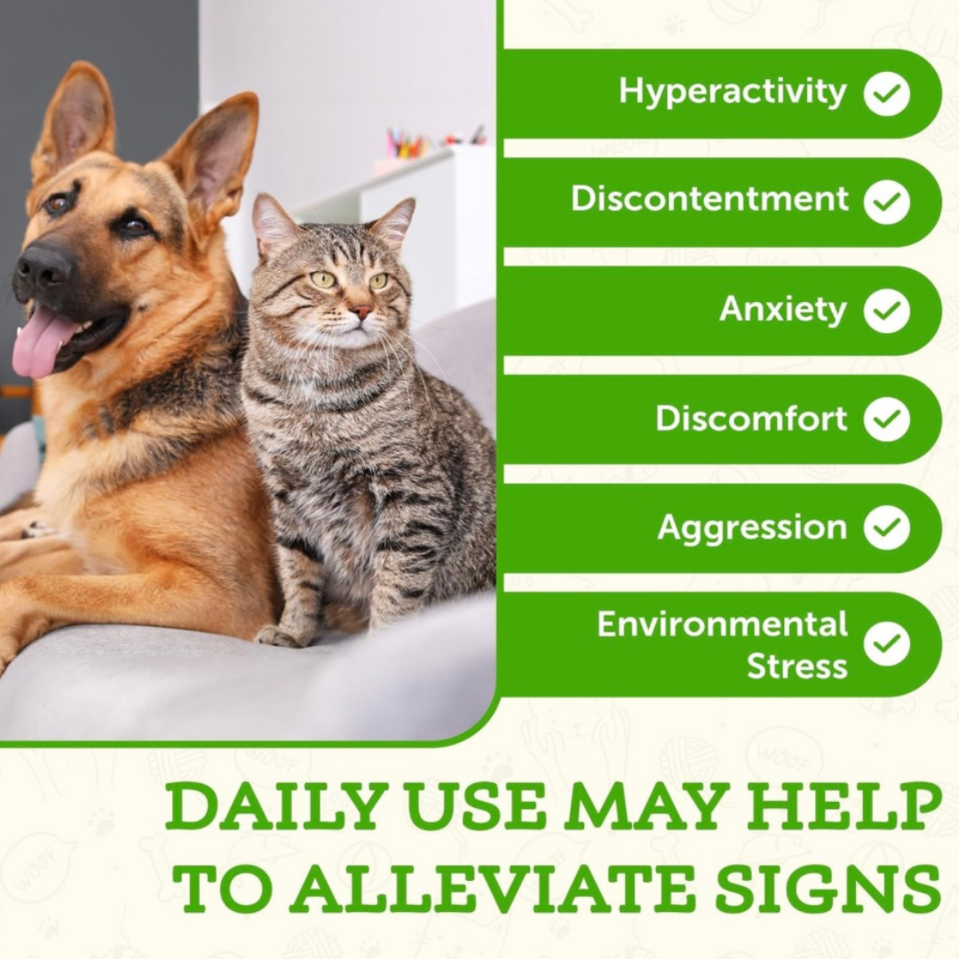 Animal Essentials Comfort Plus | Natural Calming + Pain Relief