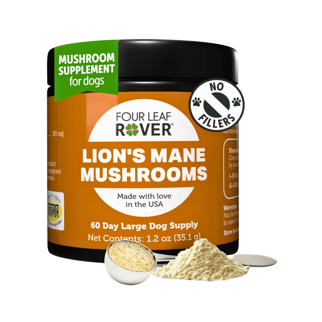 Four Leaf Rover Organic Lion’s Mane Mushrooms