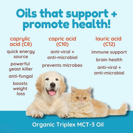 CocoTherapy TriPlex MCT-3 | Organic MCT Oil
