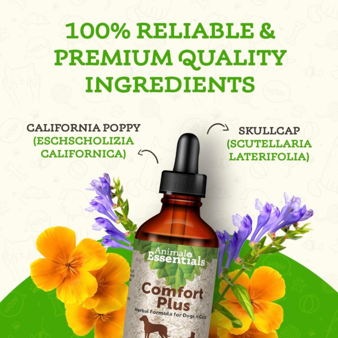 Animal Essentials Comfort Plus | Natural Calming + Pain Relief