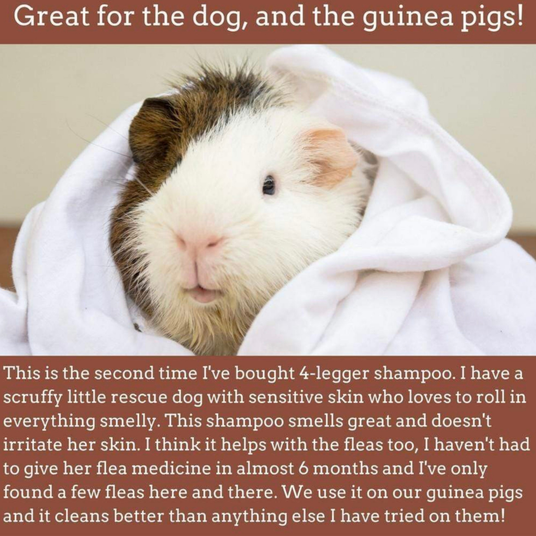 4-Legger Organic Conditioning Shampoo | Cedar + Peppermint + Eucalyptus