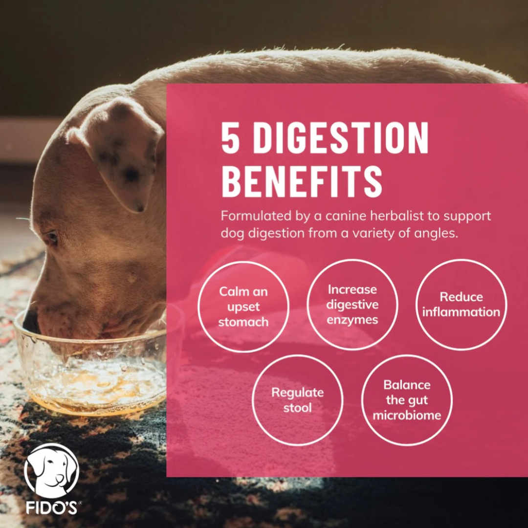 Fido’s Dehydrated Bone Broth Powder | Digestion