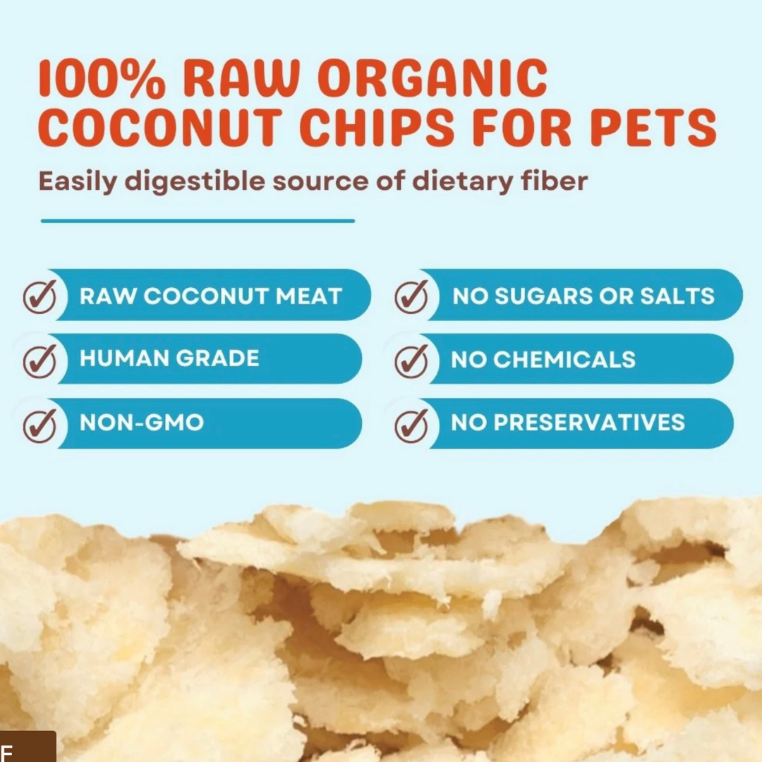 Cocotherapy Organic Coconut Chips