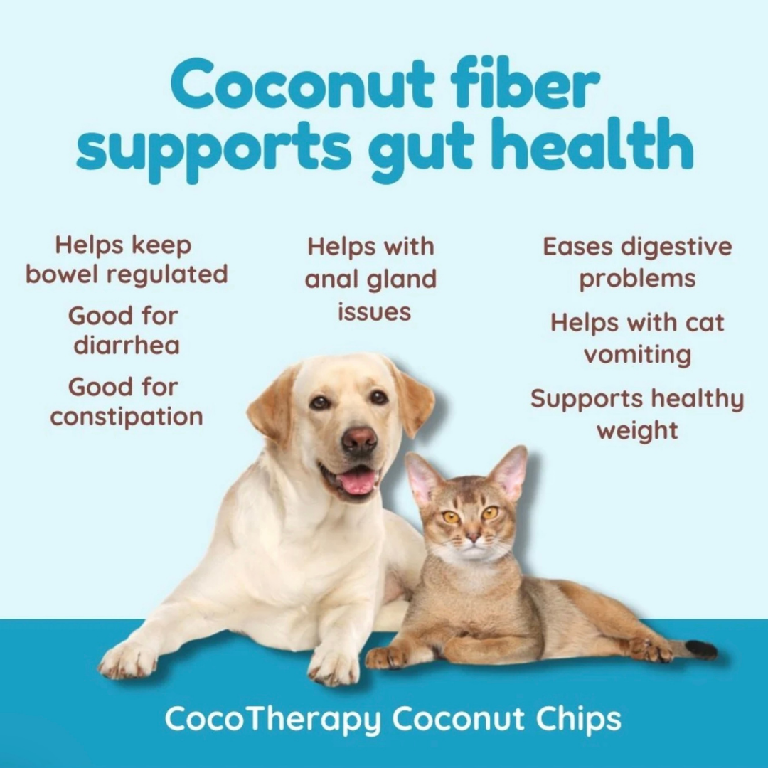 Cocotherapy Organic Coconut Chips