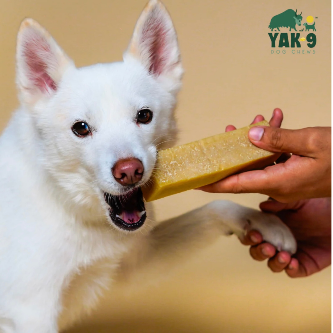 Yak9 Yak Chew | Coconut