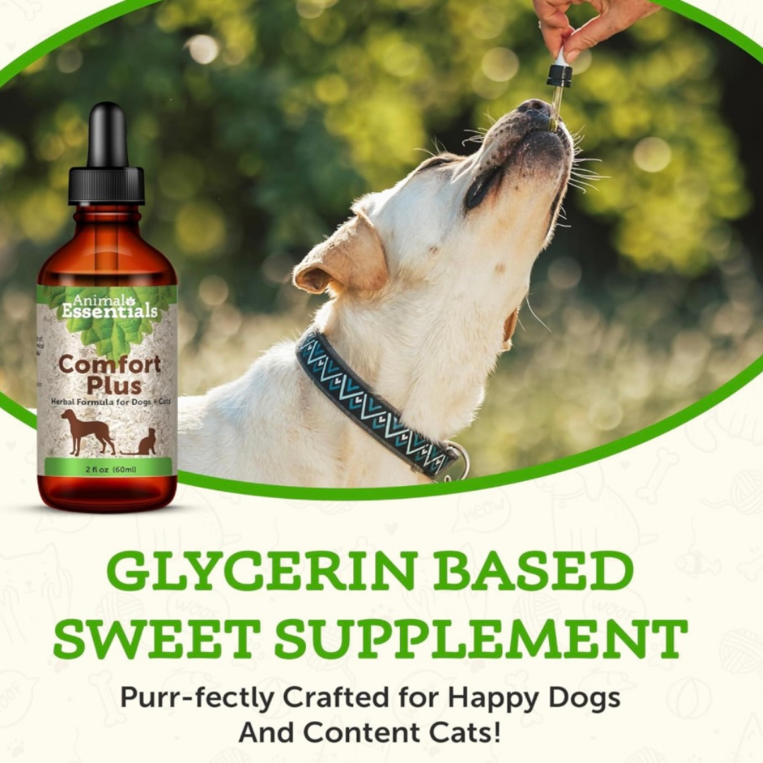 Animal Essentials Comfort Plus | Natural Calming + Pain Relief