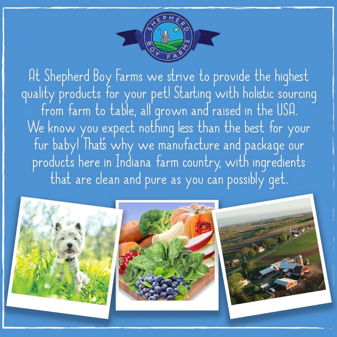 Shepherd Boy Farms Freeze-Dried Raw Goat's Milk | Golden Blend