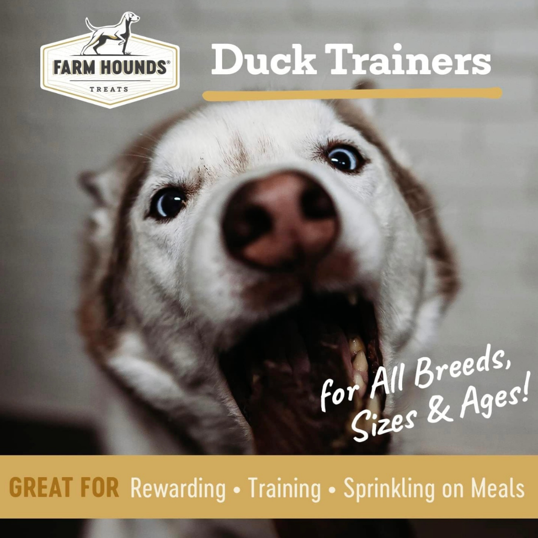 Farm Hounds Duck Trainers