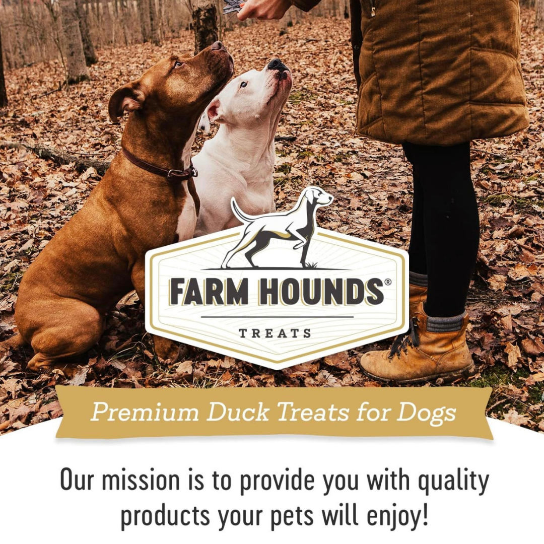 Farm Hounds Duck Trainers