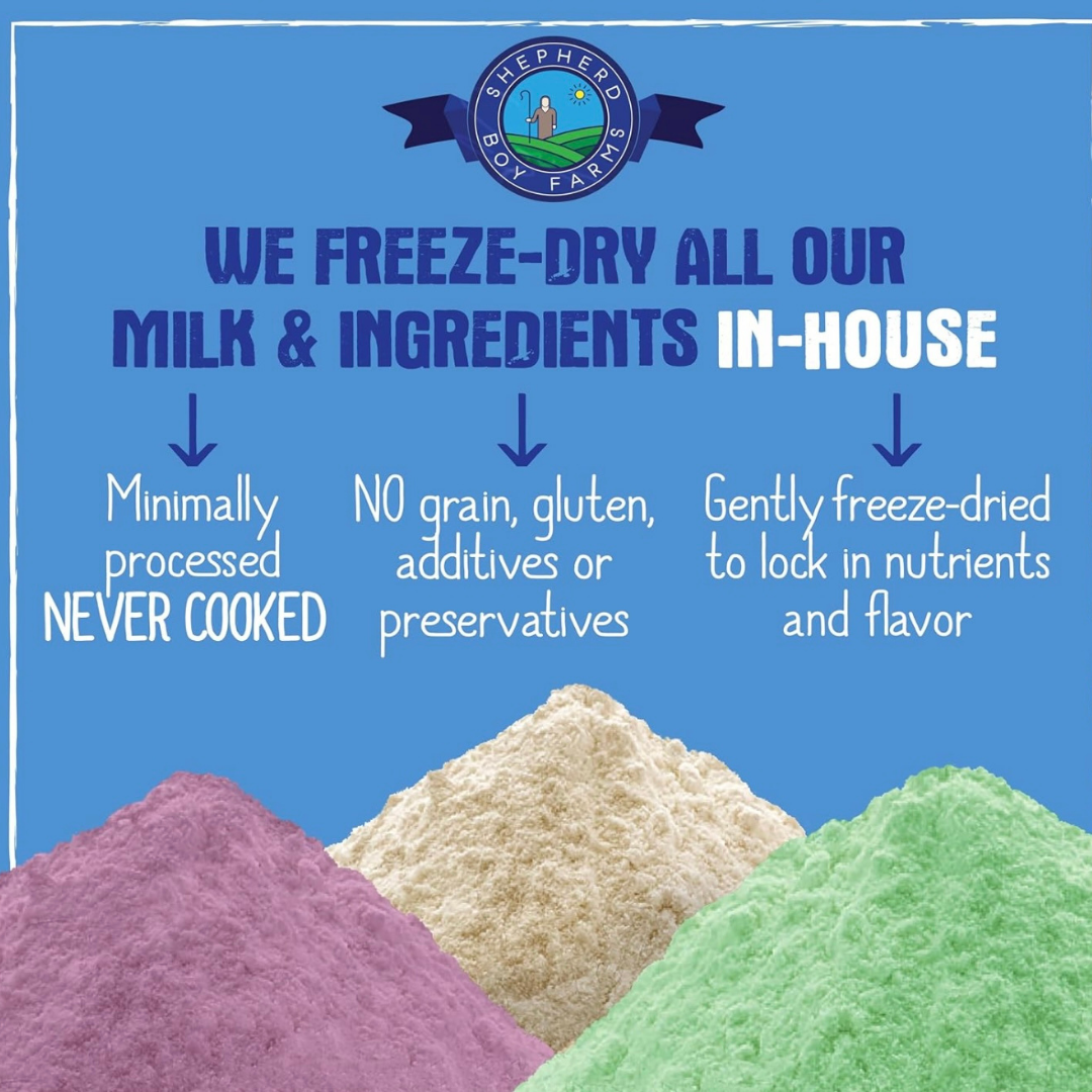 Shepherd Boy Farms Freeze-Dried Raw Goat's Milk | Golden Blend