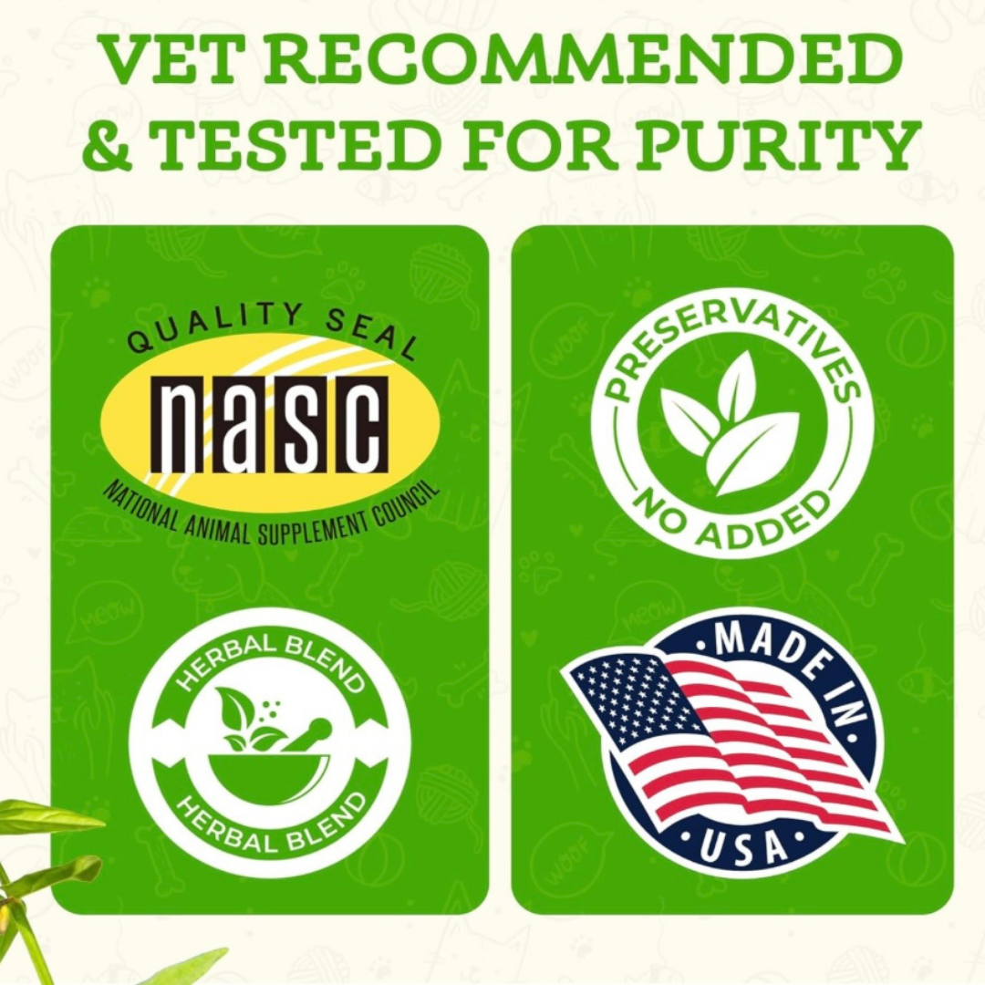 Animal Essentials Comfort Plus | Natural Calming + Pain Relief