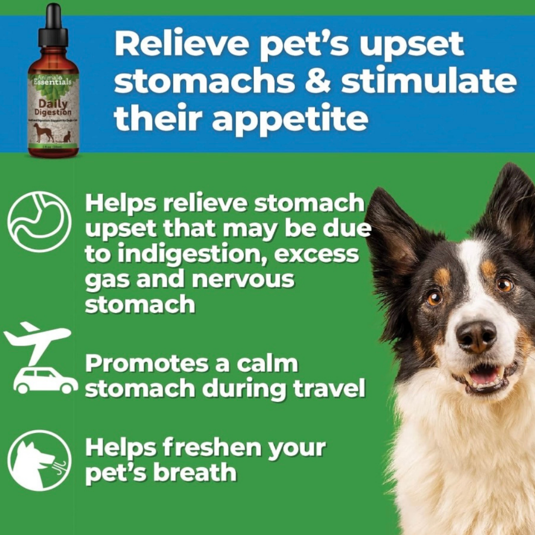 Animal Essentials Daily Digestion | Reflux + Digestive Relief
