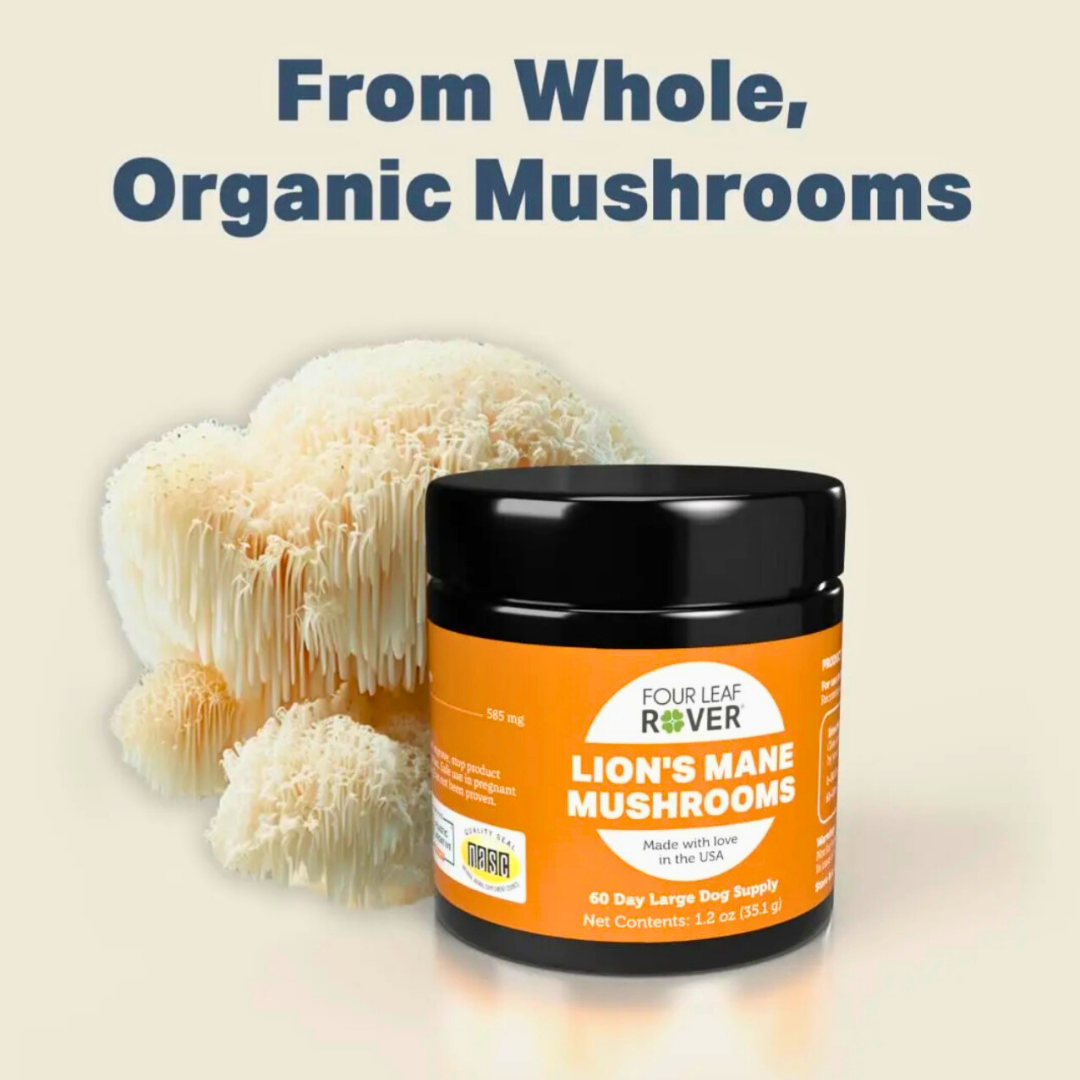 Four Leaf Rover Organic Lion’s Mane Mushrooms