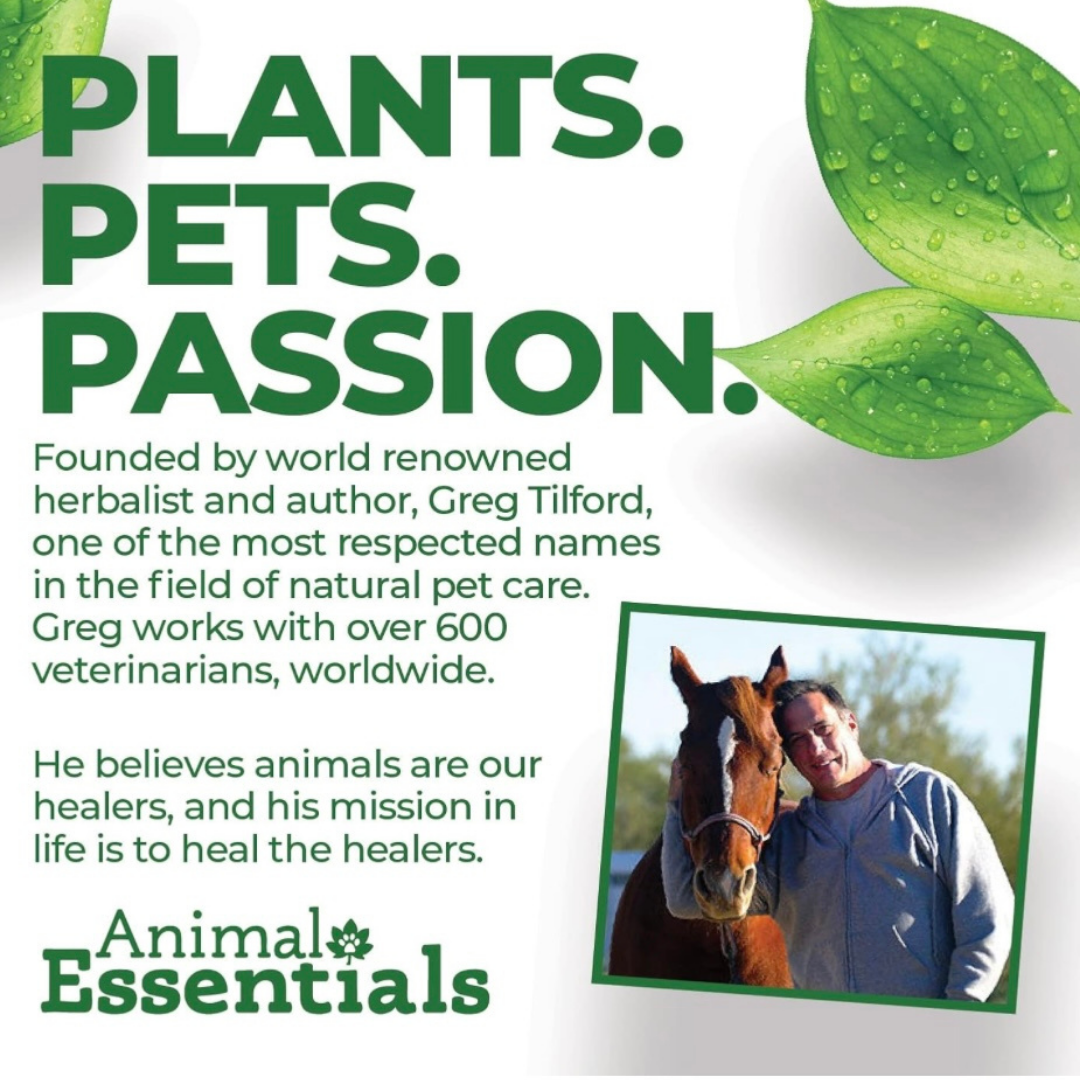 Animal Essentials Daily Digestion | Reflux + Digestive Relief
