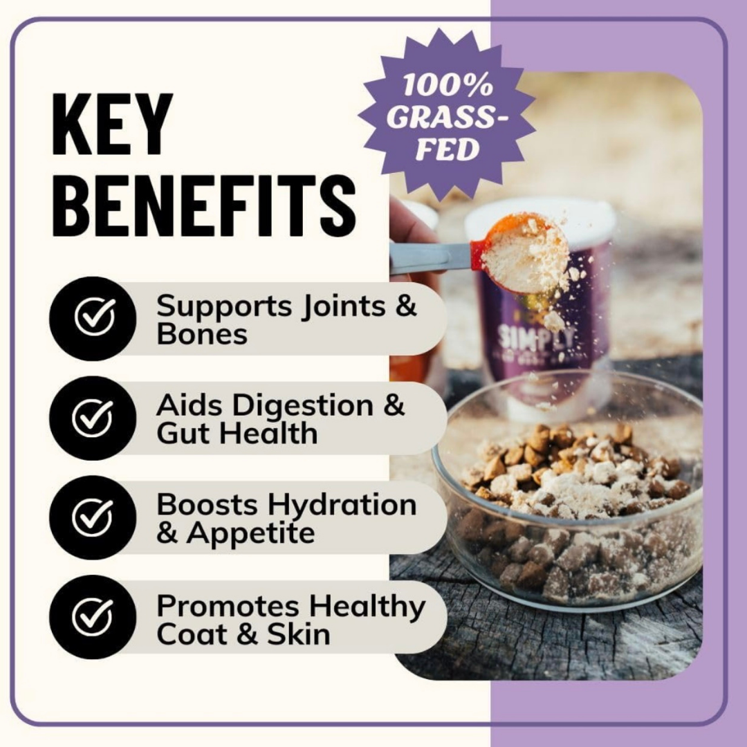 Fido’s Dehydrated Simply Bone Broth Powder