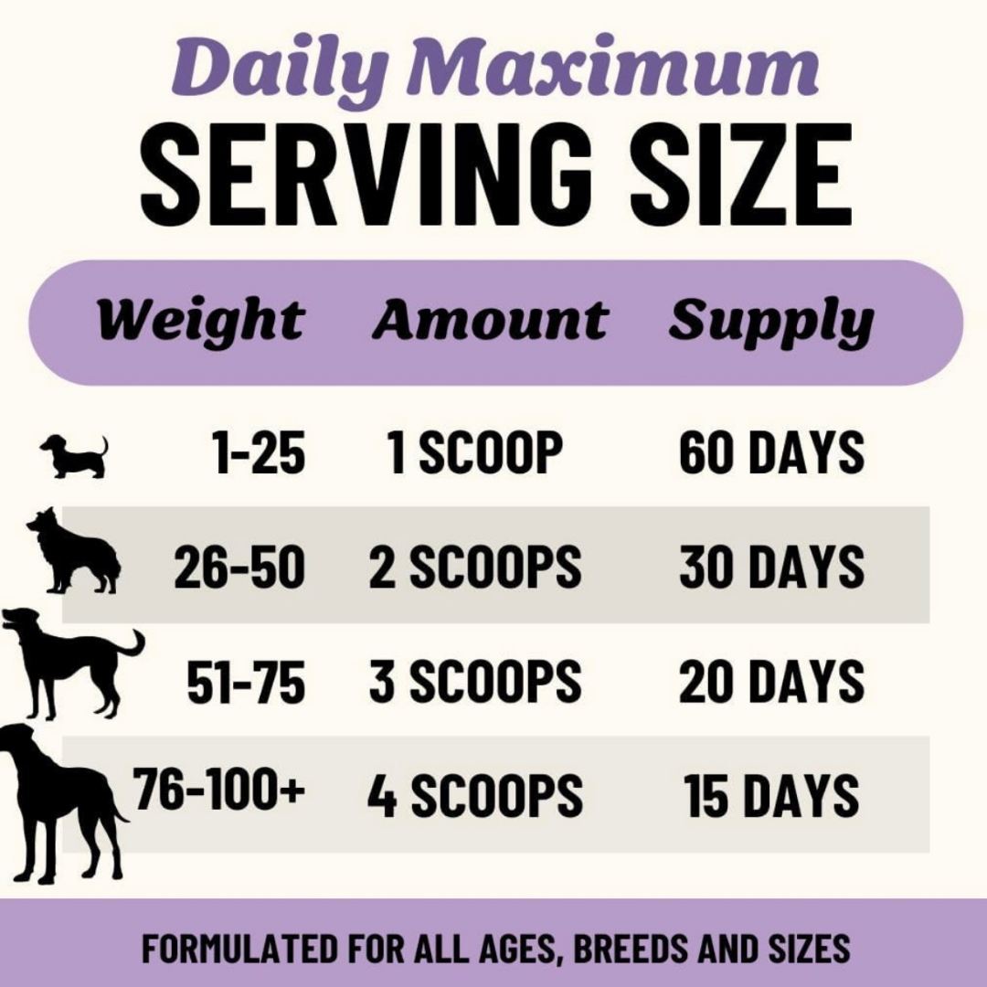 Fido’s Dehydrated Simply Bone Broth Powder