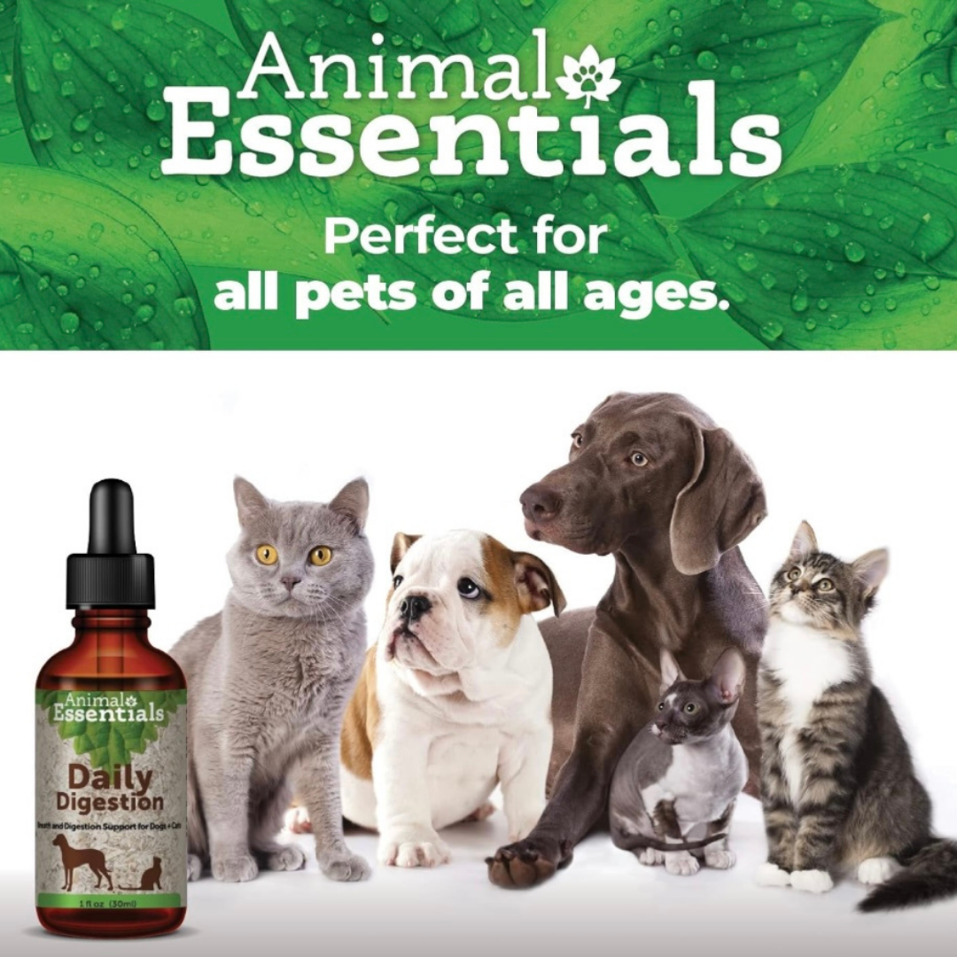 Animal Essentials Daily Digestion | Reflux + Digestive Relief