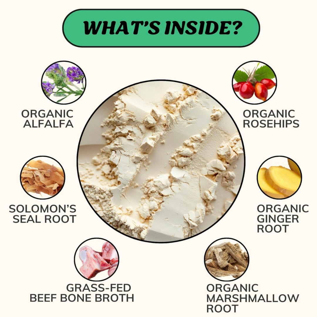 Fido’s Dehydrated Bone Broth Powder | Mobility