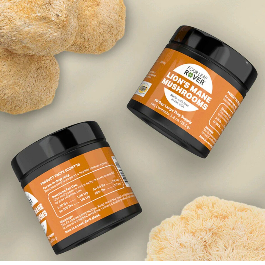 Four Leaf Rover Organic Lion’s Mane Mushrooms