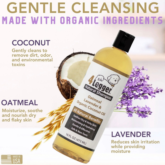 Organic Oatmeal Dog Shampoo with Aloe + Lavender