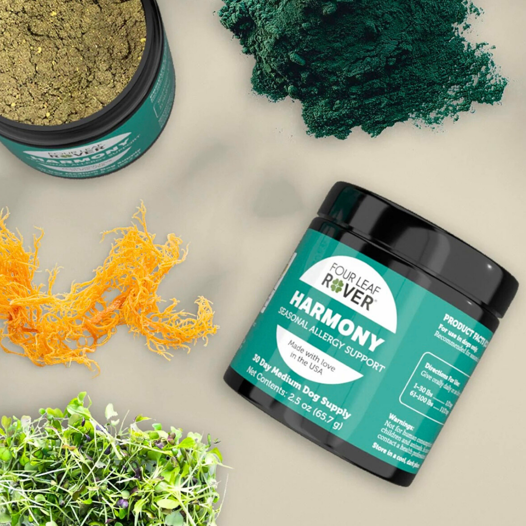 Four Leaf Rover Harmony | Seasonal Allergy Support + Skin Health