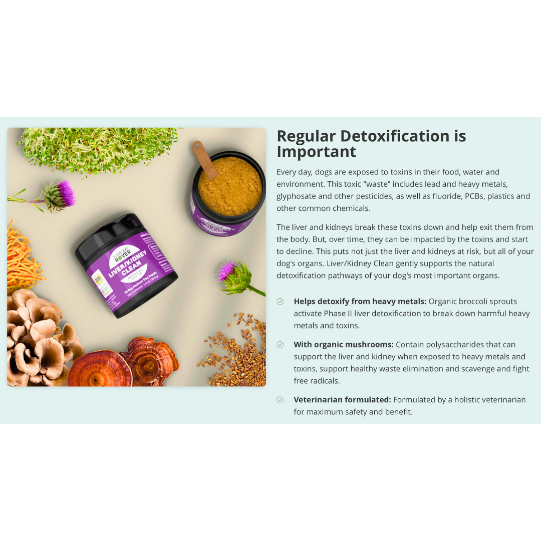 Four Leaf Rover Liver/Kidney Clean | Natural Detox Support