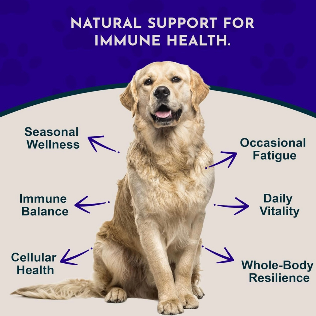 Animal Essentials Mushroom Defense | Natural Immune Support