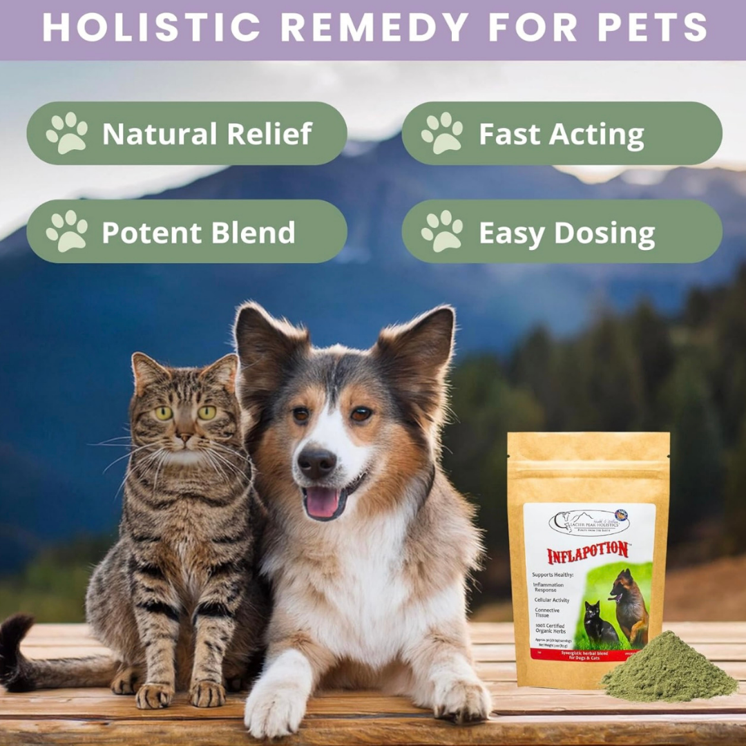 Glacier Peak Inflapotion Powder | Anti-Inflammatory