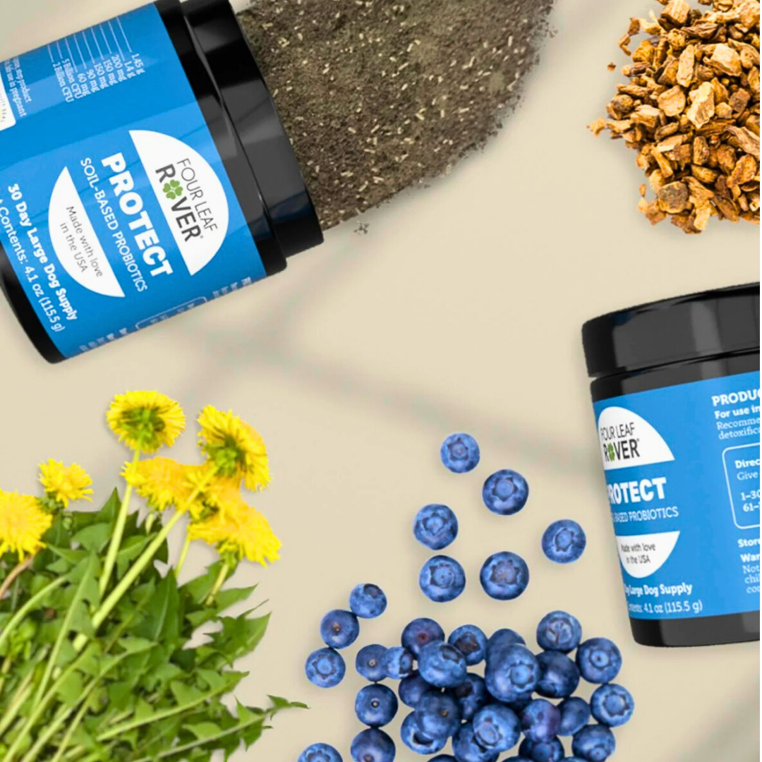 Four Leaf Rover Protect | Soil Based Probiotics + Detox Support